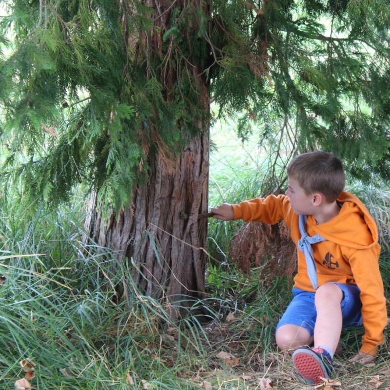IMG 4499 - Scouts en Gidsen Zaventem 